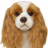 Sandydog